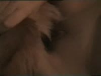 Intense dog sex with amateur beastie gal